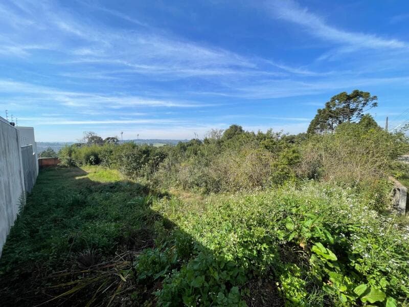 Foto 8 de 10: Terreno em leilão em Mafra - SC — LOTE 001 TERRENO URBANO