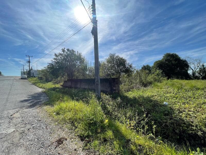 Foto 10 de 10: Terreno em leilão em Mafra - SC — LOTE 001 TERRENO URBANO
