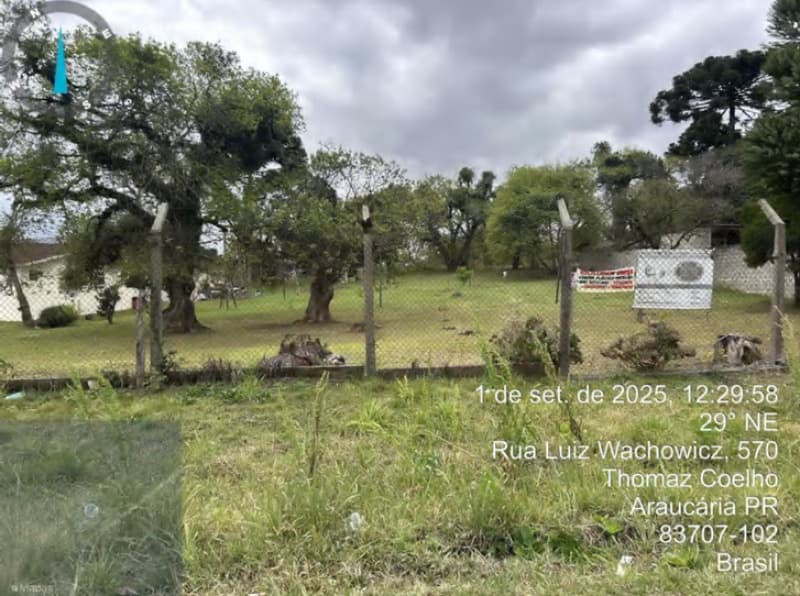 Foto 26 de 27: Terreno em leilão em Araucária - PR, bairro Barigui — LOTE 001 LOTE GLOBAL