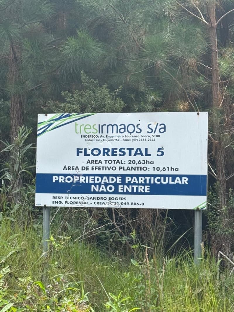 Foto 1 de 25: Area Rural em leilão em Macieira - SC — LOTE 001 PARTE DA FAZENDA SÃO NICOLAU (FLORESTAL 05)