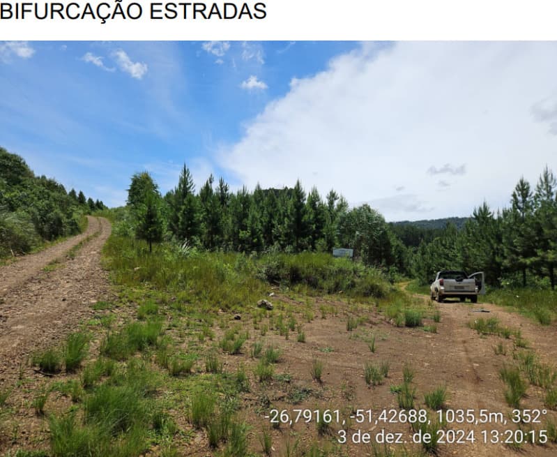 Foto 11 de 25: Area Rural em leilão em Macieira - SC — LOTE 001 PARTE DA FAZENDA SÃO NICOLAU (FLORESTAL 05)