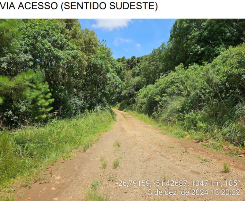 Foto 21 de 25: Area Rural em leilão em Macieira - SC — LOTE 001 PARTE DA FAZENDA SÃO NICOLAU (FLORESTAL 05)