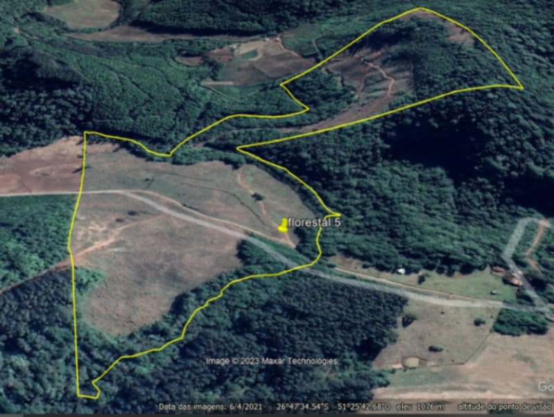 Foto 24 de 25: Area Rural em leilão em Macieira - SC — LOTE 001 PARTE DA FAZENDA SÃO NICOLAU (FLORESTAL 05)