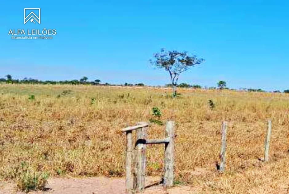 Foto 1 de 32: Area Rural em leilão em Ponte Alta Do Tocantins - TO — Leilão De Fazenda Em Ponte Alta Do Tocantins (to)