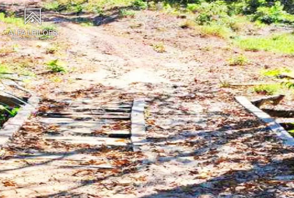 Foto 6 de 32: Area Rural em leilão em Ponte Alta Do Tocantins - TO — Leilão De Fazenda Em Ponte Alta Do Tocantins (to)
