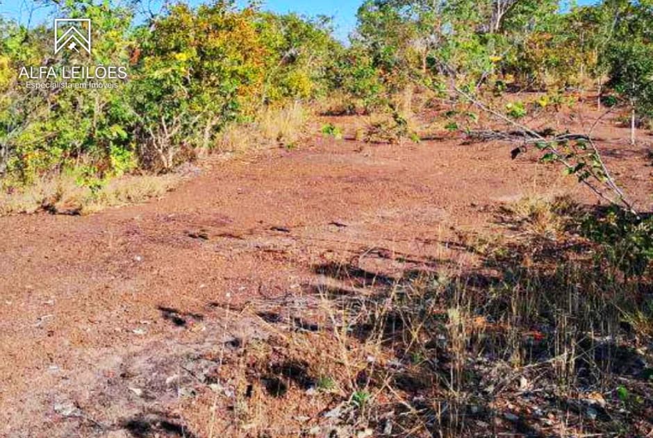 Foto 7 de 32: Area Rural em leilão em Ponte Alta Do Tocantins - TO — Leilão De Fazenda Em Ponte Alta Do Tocantins (to)