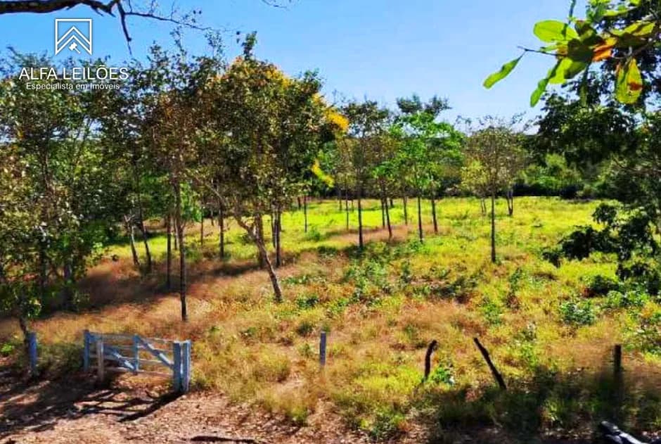 Foto 13 de 32: Area Rural em leilão em Ponte Alta Do Tocantins - TO — Leilão De Fazenda Em Ponte Alta Do Tocantins (to)