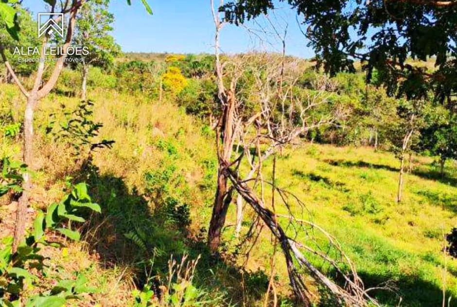Foto 14 de 32: Area Rural em leilão em Ponte Alta Do Tocantins - TO — Leilão De Fazenda Em Ponte Alta Do Tocantins (to)