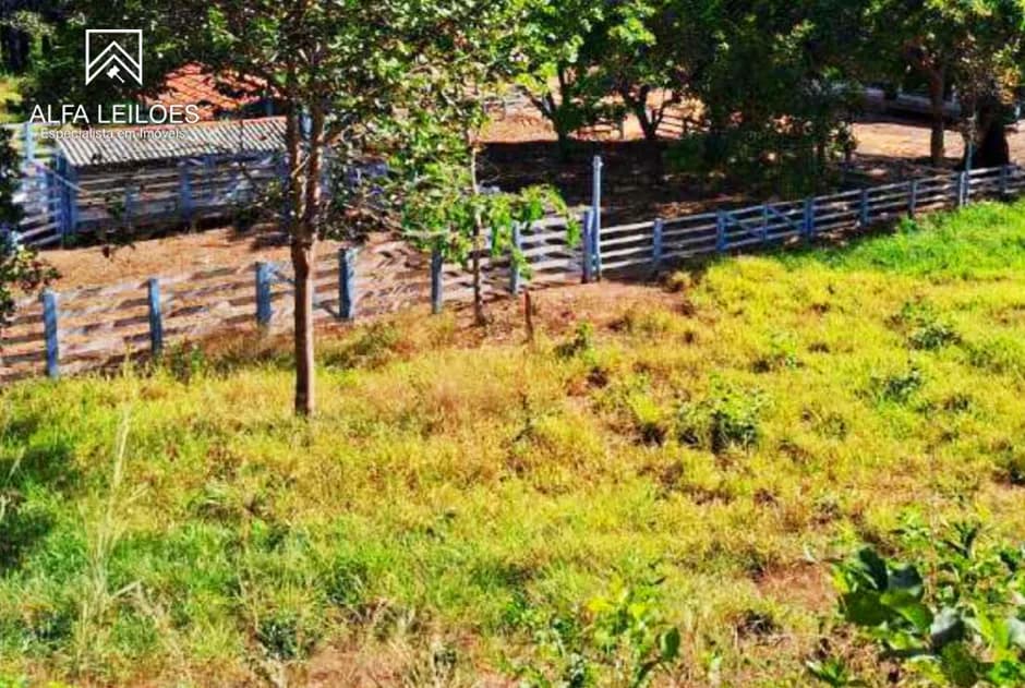Foto 15 de 32: Area Rural em leilão em Ponte Alta Do Tocantins - TO — Leilão De Fazenda Em Ponte Alta Do Tocantins (to)