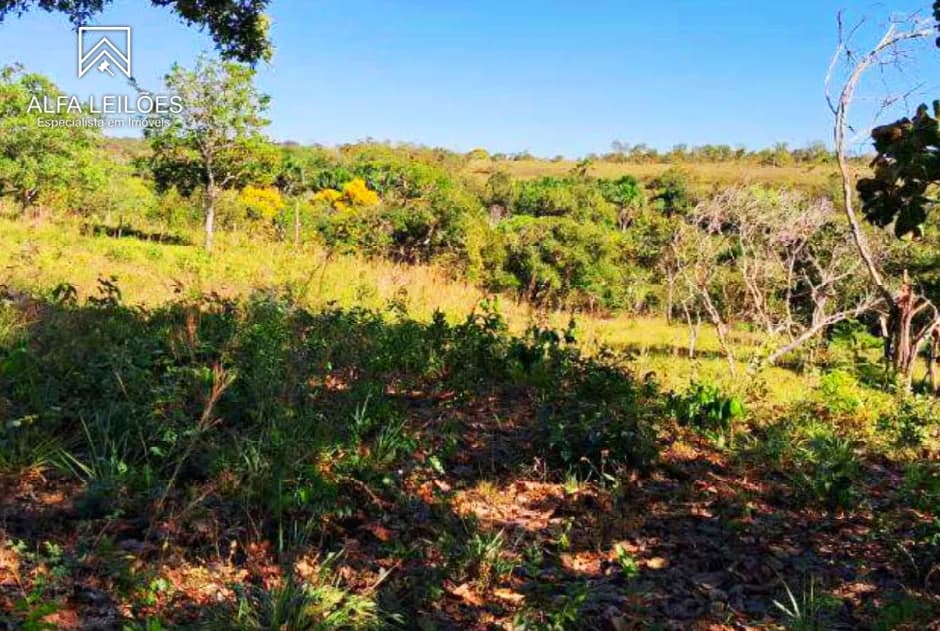 Foto 16 de 32: Area Rural em leilão em Ponte Alta Do Tocantins - TO — Leilão De Fazenda Em Ponte Alta Do Tocantins (to)