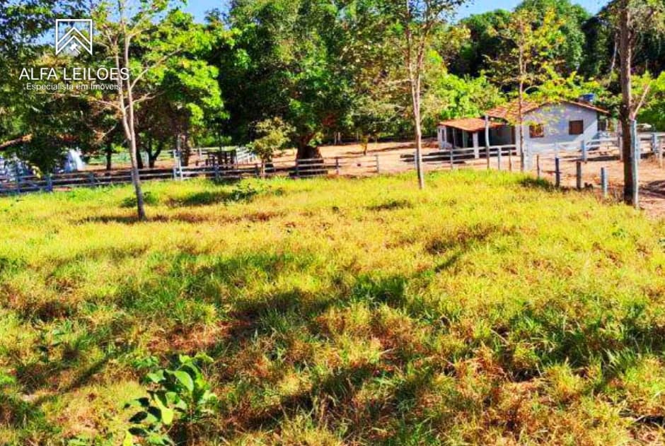 Foto 17 de 32: Area Rural em leilão em Ponte Alta Do Tocantins - TO — Leilão De Fazenda Em Ponte Alta Do Tocantins (to)
