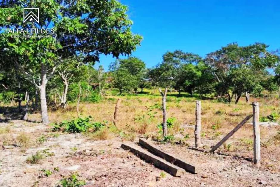 Foto 18 de 32: Area Rural em leilão em Ponte Alta Do Tocantins - TO — Leilão De Fazenda Em Ponte Alta Do Tocantins (to)