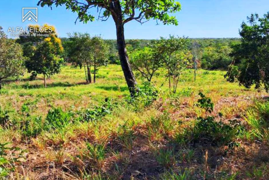 Foto 19 de 32: Area Rural em leilão em Ponte Alta Do Tocantins - TO — Leilão De Fazenda Em Ponte Alta Do Tocantins (to)