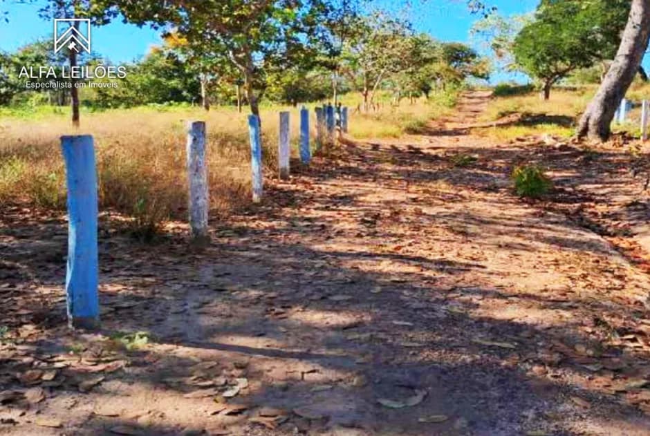 Foto 21 de 32: Area Rural em leilão em Ponte Alta Do Tocantins - TO — Leilão De Fazenda Em Ponte Alta Do Tocantins (to)