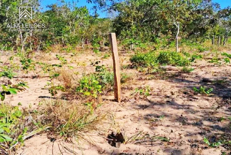 Foto 23 de 32: Area Rural em leilão em Ponte Alta Do Tocantins - TO — Leilão De Fazenda Em Ponte Alta Do Tocantins (to)
