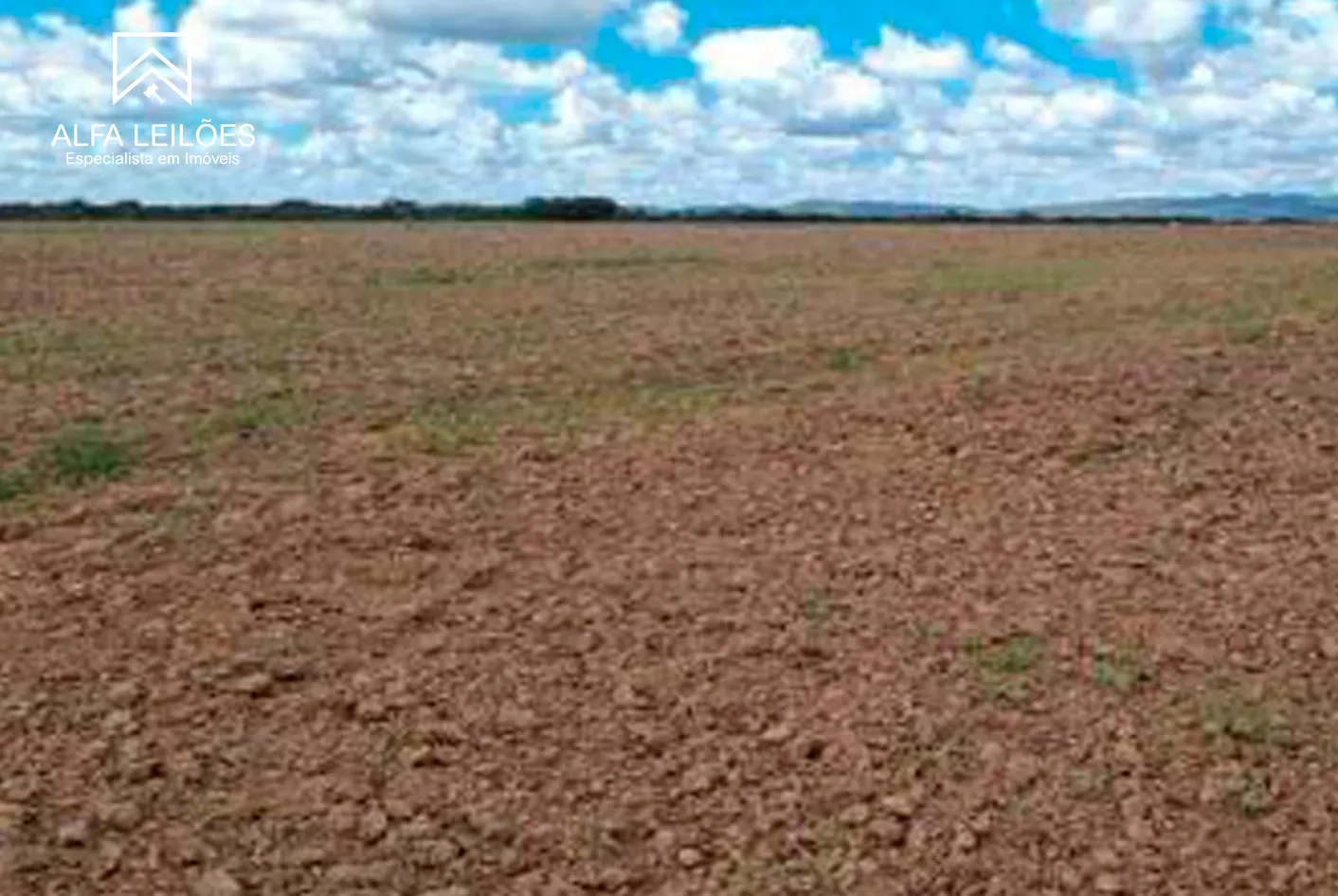 Foto 6 de 17: Area Rural em leilão em Paranatinga - MT — Leilão De Fazenda Em Paranatinga (mt)