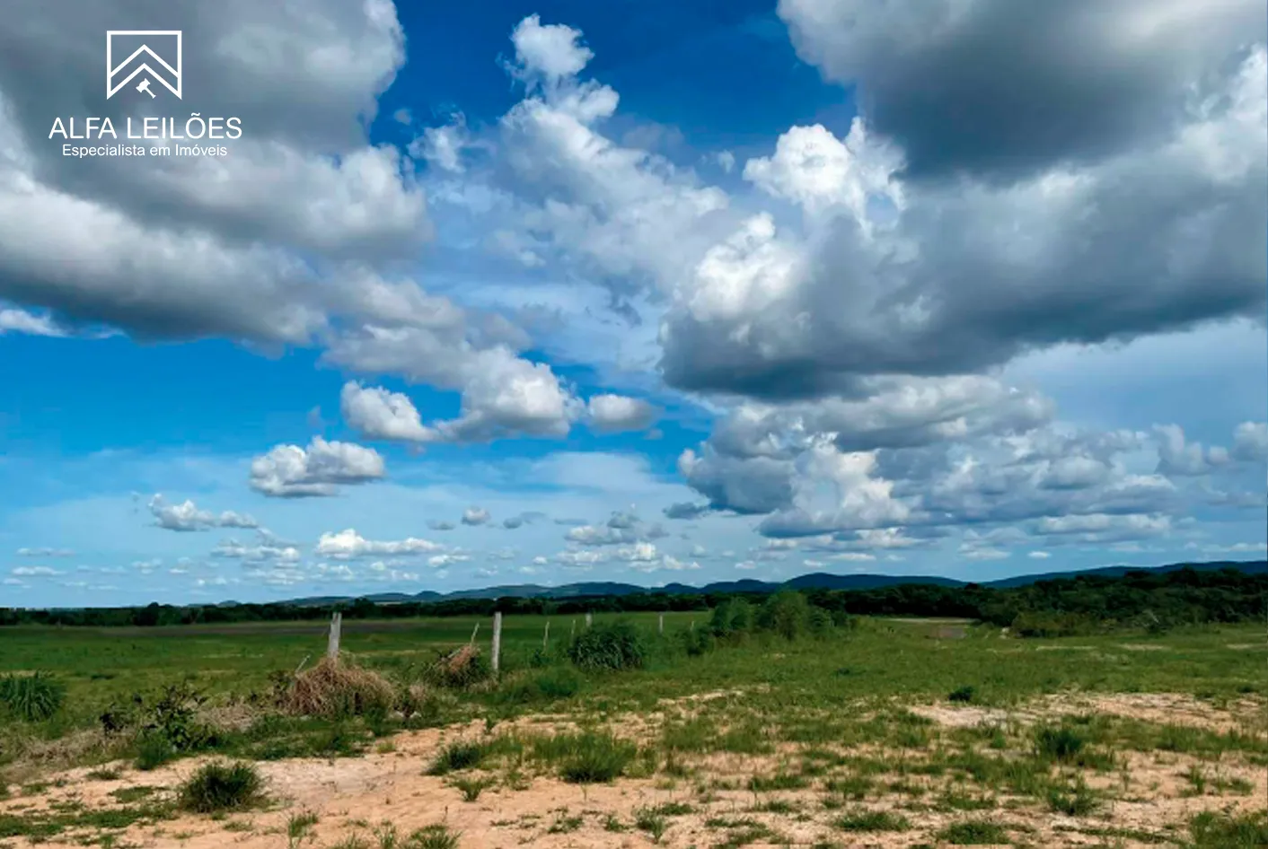 Foto 9 de 17: Area Rural em leilão em Paranatinga - MT — Leilão De Fazenda Em Paranatinga (mt)