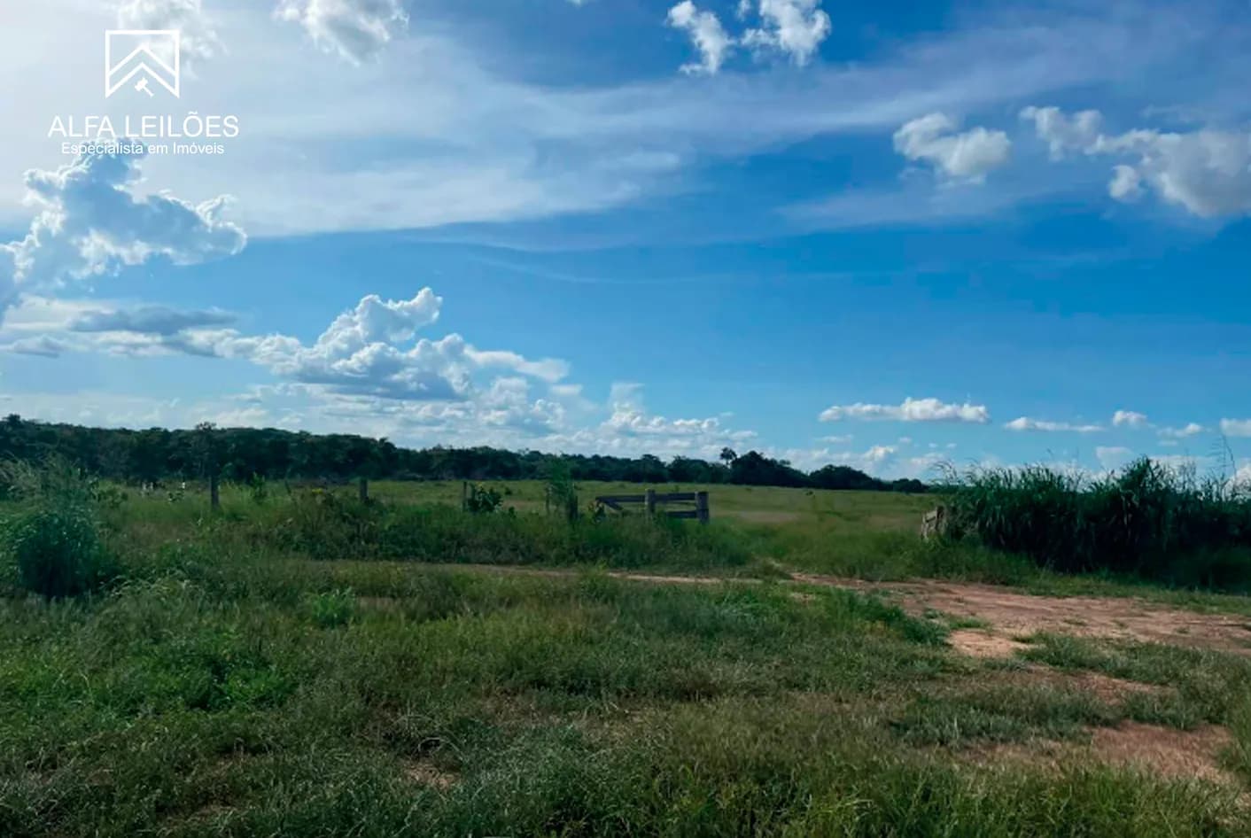 Foto 10 de 17: Area Rural em leilão em Paranatinga - MT — Leilão De Fazenda Em Paranatinga (mt)