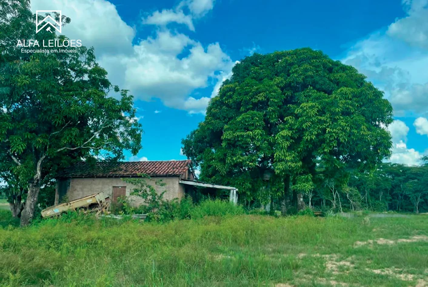 Foto 11 de 17: Area Rural em leilão em Paranatinga - MT — Leilão De Fazenda Em Paranatinga (mt)