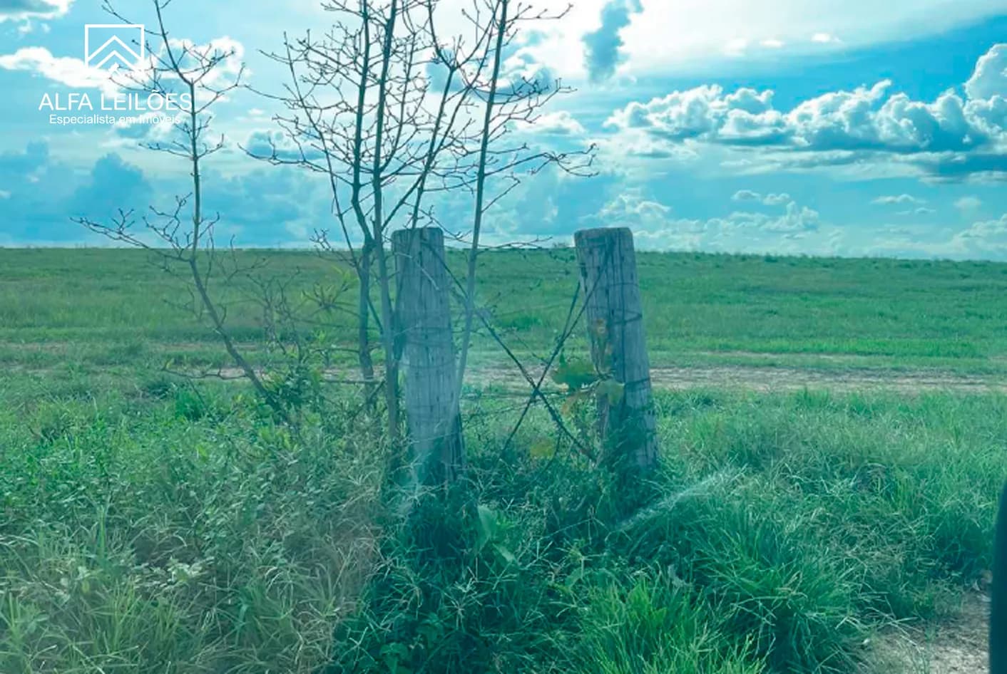 Foto 12 de 17: Area Rural em leilão em Paranatinga - MT — Leilão De Fazenda Em Paranatinga (mt)