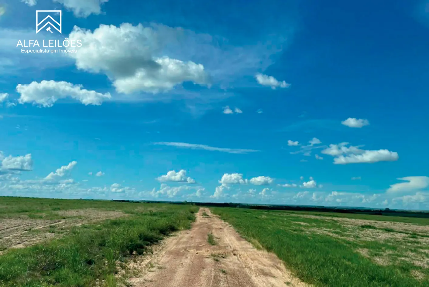 Foto 13 de 17: Area Rural em leilão em Paranatinga - MT — Leilão De Fazenda Em Paranatinga (mt)