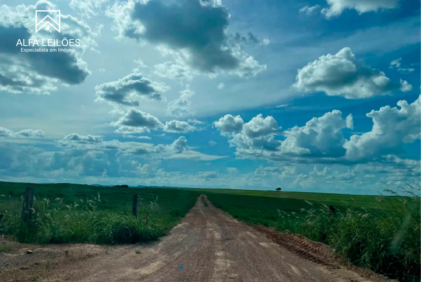 Foto 17 de 17: Area Rural em leilão em Paranatinga - MT — Leilão De Fazenda Em Paranatinga (mt)