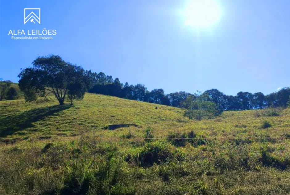 Foto 3 de 4: Area Rural em leilão em Conceição Do Rio Verde - MG — Leilão de Fazenda em Conceição do Rio Verde (MG)