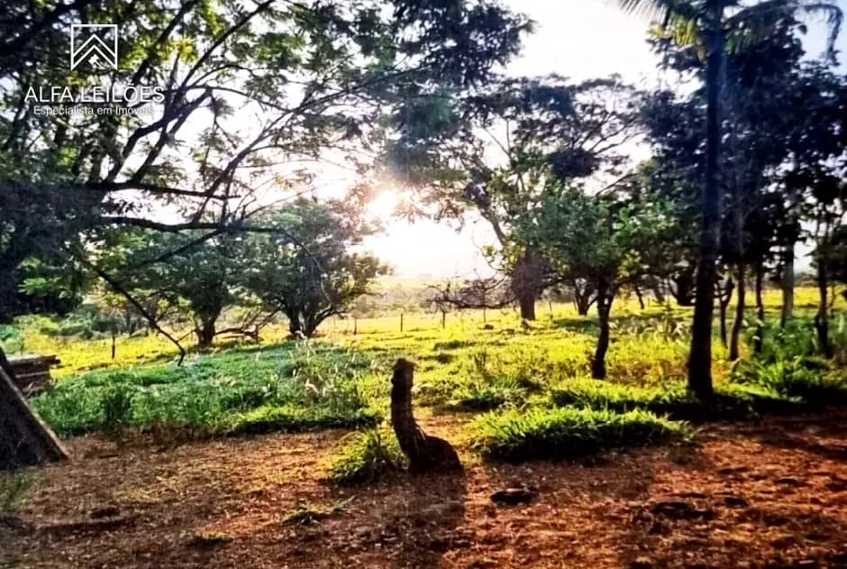 Foto 2 de 12: Area Rural em leilão em São José Do Rio Preto - SP — Leilão de Fazenda em São José do Rio Preto (SP)