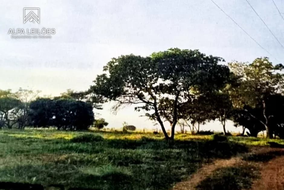 Foto 4 de 12: Area Rural em leilão em São José Do Rio Preto - SP — Leilão de Fazenda em São José do Rio Preto (SP)