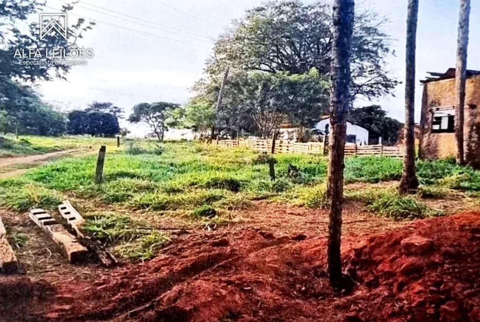 Foto 5 de 12: Area Rural em leilão em São José Do Rio Preto - SP — Leilão de Fazenda em São José do Rio Preto (SP)