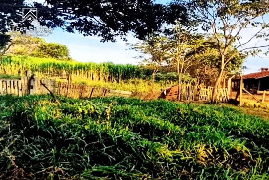 Foto 7 de 12: Area Rural em leilão em São José Do Rio Preto - SP — Leilão de Fazenda em São José do Rio Preto (SP)