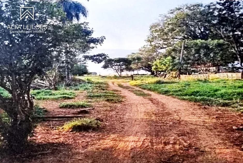 Foto 8 de 12: Area Rural em leilão em São José Do Rio Preto - SP — Leilão de Fazenda em São José do Rio Preto (SP)