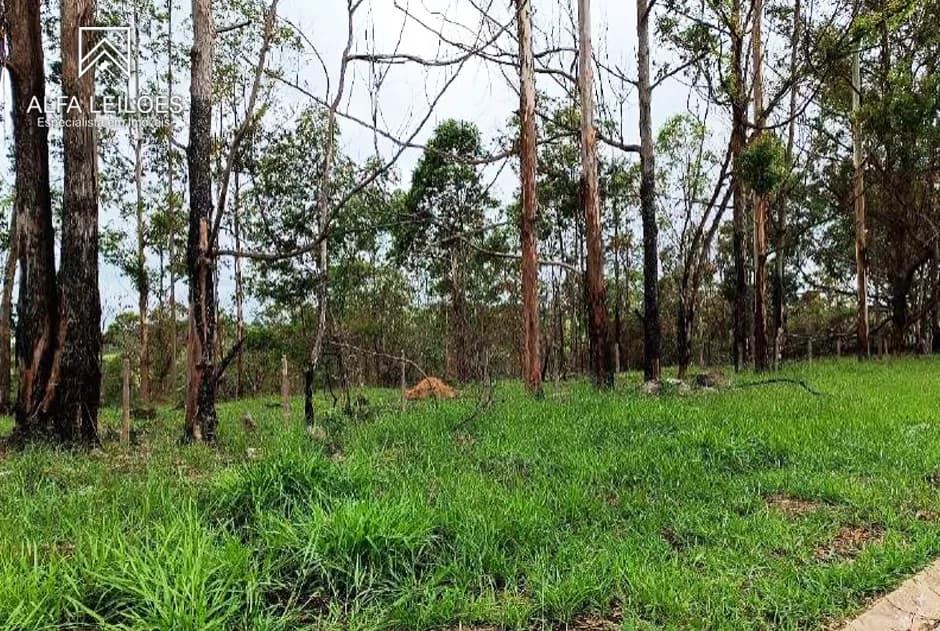Foto 4 de 11: Area Rural em leilão em Nazareno - MG — Leilão de Fazenda em Nazareno (MG)