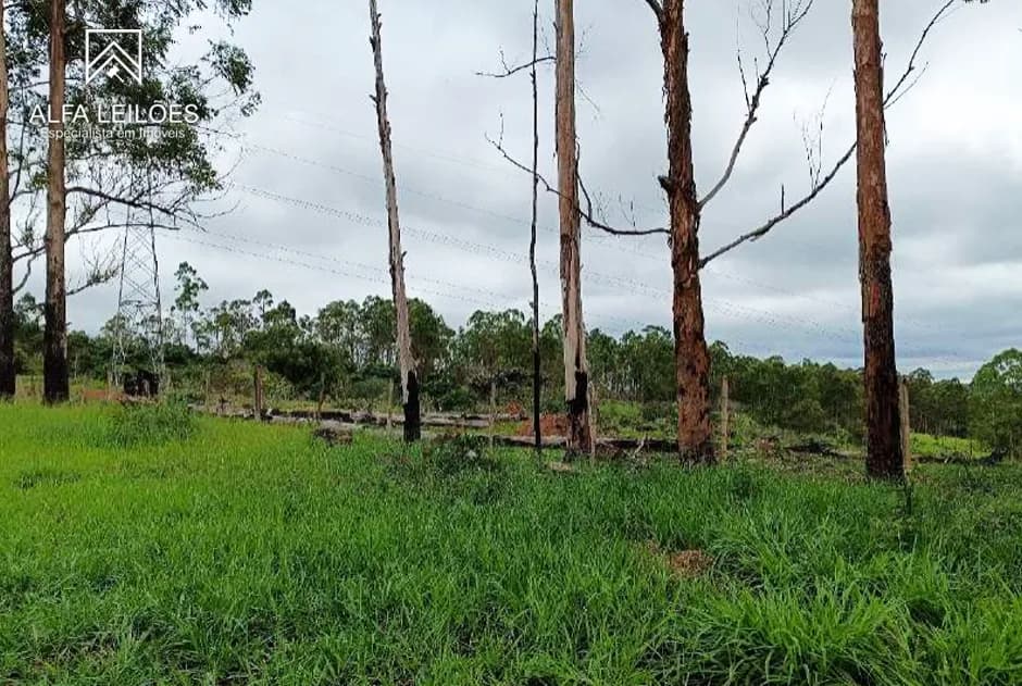 Foto 5 de 11: Area Rural em leilão em Nazareno - MG — Leilão de Fazenda em Nazareno (MG)
