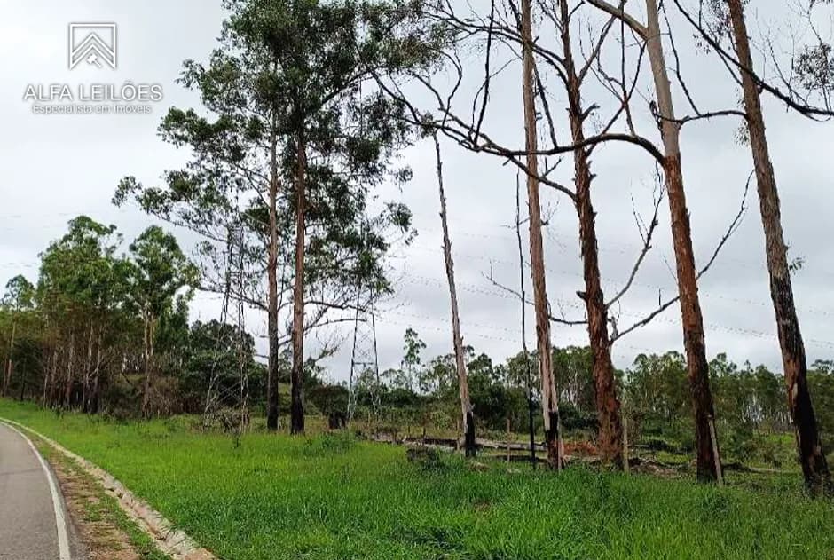 Foto 6 de 11: Area Rural em leilão em Nazareno - MG — Leilão de Fazenda em Nazareno (MG)