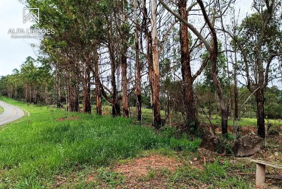 Foto 7 de 11: Area Rural em leilão em Nazareno - MG — Leilão de Fazenda em Nazareno (MG)