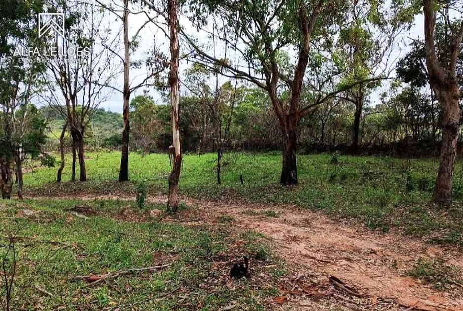 Foto 9 de 11: Area Rural em leilão em Nazareno - MG — Leilão de Fazenda em Nazareno (MG)