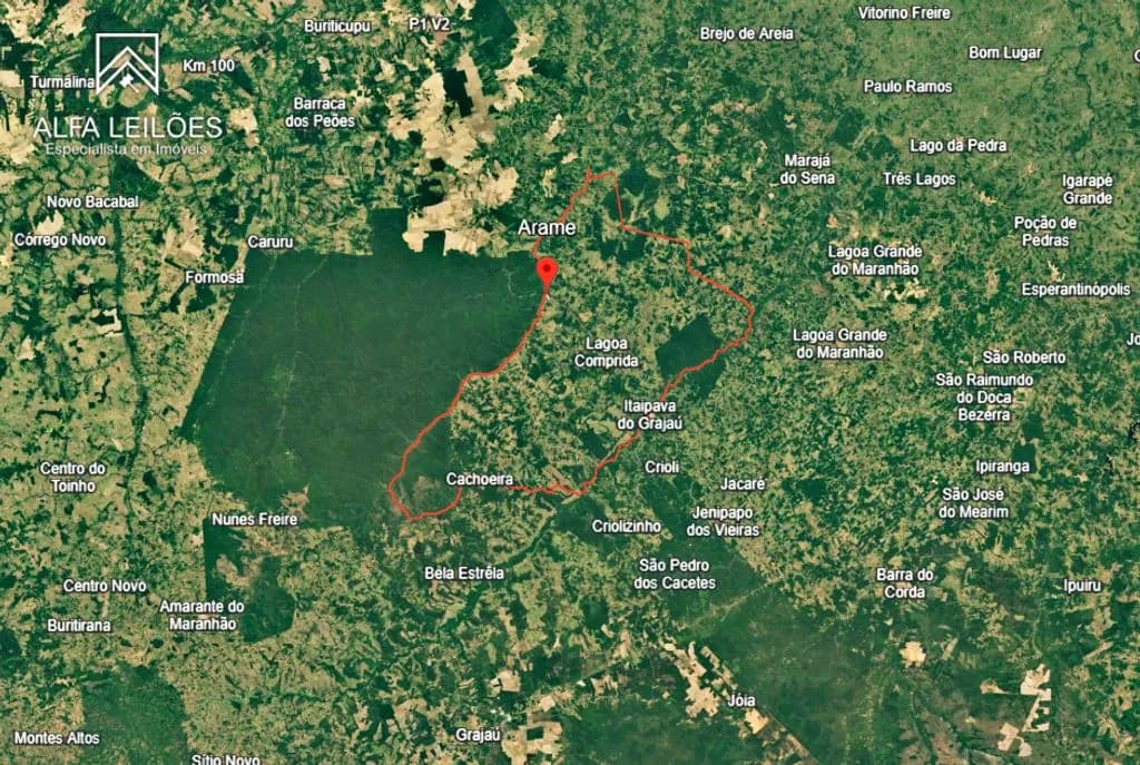 Area Rural em leilão em Arame - MA — Leilão de Fazenda em Arame (MA)