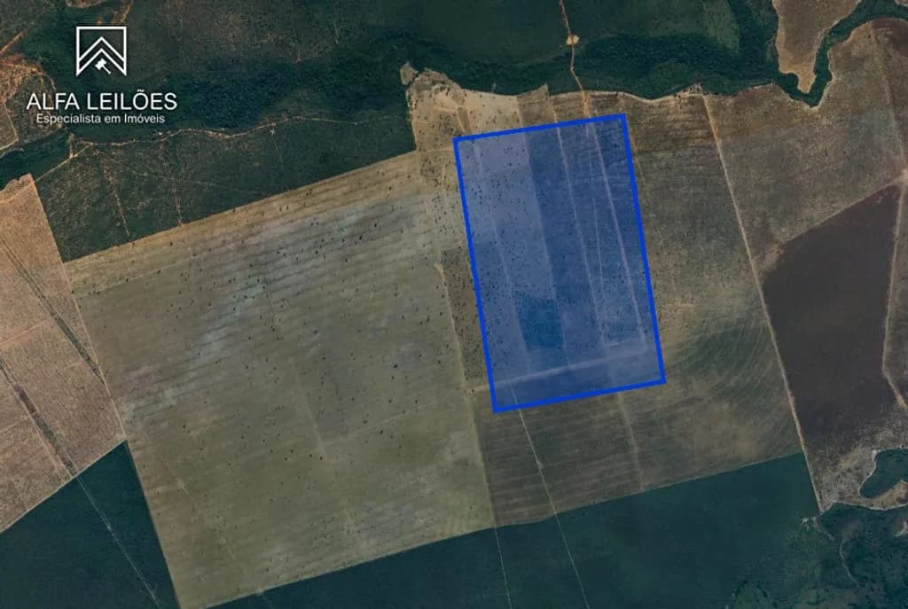 Area Rural em leilão em Paranatinga - MT — Leilão de Fazenda em Paranatinga (MT)