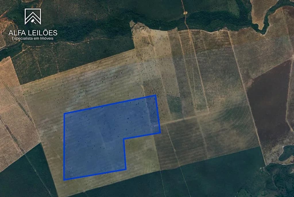 Area Rural em leilão em Paranatinga - MT — Leilão de Fazenda em Paranatinga (MT)
