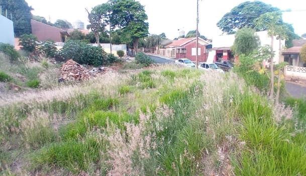 Terreno em leilão em Apucarana - PR — LOTE 1: Terreno com 600 m² - Vila São Carlos