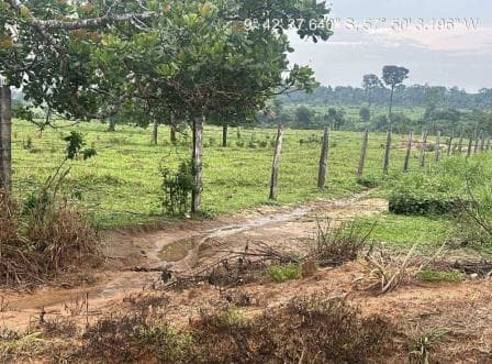 Foto 3 de 4: Area Rural em leilão em Nova Bandeirantes - MT — LOTE 4: Área Rural com 56,1920 ha - Zona Rural