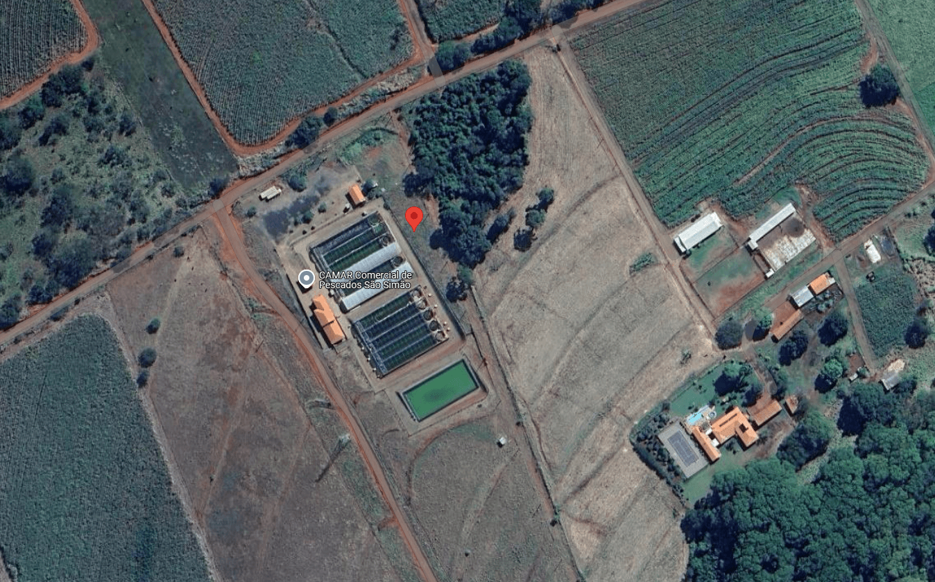 Foto 18 de 19: Area Rural em leilão em São Simão - SP — LOTE 7: Área Rural contendo edificações com 13,28ha - Zona Rural SÃO SIMÃO SP