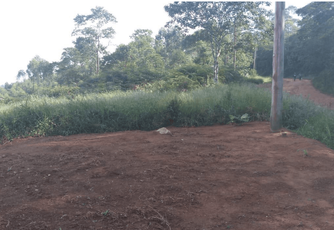 Terreno em leilão em Cotia - SP — LOTE 2: Terreno com 1.592,70 m² - Projeto Jardim