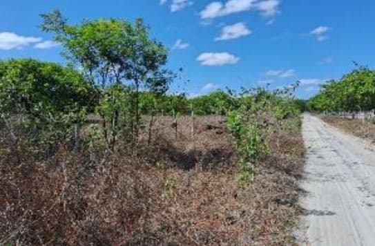 Foto 2 de 2: Terreno em leilão em Pacajus - CE — LOTE 16: Terreno com 16.432 m² - Curimatã PACAJUS CE
