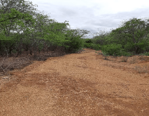 Foto 4 de 5: Area Rural em leilão em Pedras De Maria Da Cruz - MG — LOTE 15: Gleba de Terras com 200,1594ha - Zona Rural PEDRAS DE MARIA DA CRUZ MG