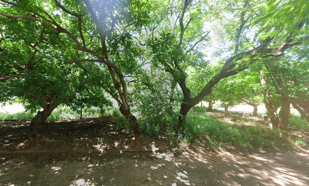 Foto 2 de 2: Terreno em leilão em Araçatuba - SP — LOTE 17: Terreno com 300 m² - Jardim Pinheiros ARAÇATUBA SP