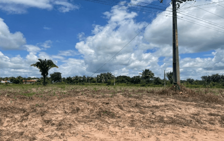 Terreno em leilão em Campestre Do Maranhão - MA — LOTE 1: Lote com 360 m² - Loteamento Jardim das Palmeiras CAMPESTRE DO MARANHÃO MA