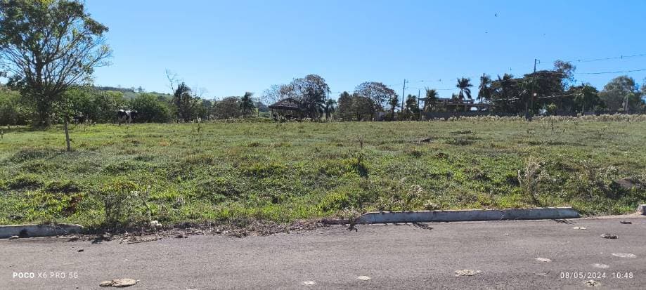 Foto 12 de 16: Terreno em leilão em Pérola - PR — LOTE 1: Lote, Padrão, 0 vaga(s) de garagem PÉROLA PR