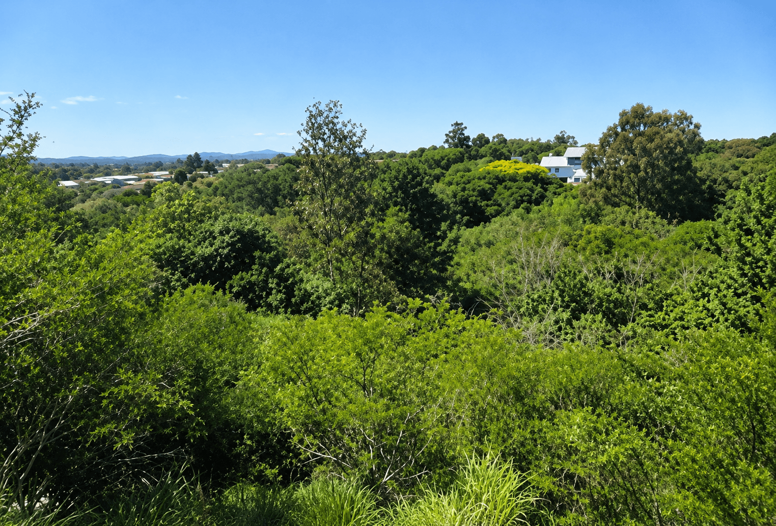 Foto 3 de 3: Terreno em leilão em Viamão - RS — LOTE 25: Terreno com 24.166,34 m² - Planalto VIAMÃO RS